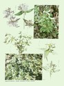 image test2