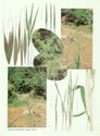 image test5