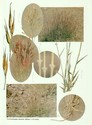 image test5