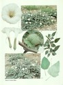 image test2