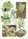 image test2