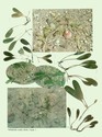 image test1