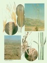 image test5
