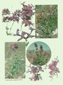 image test5