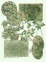 image test4