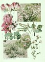 image test5
