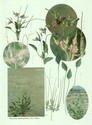 image test3