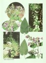 image test4
