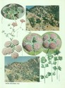 image test2