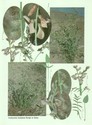 image test5