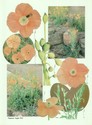 image test3