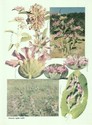 image test5