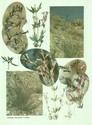 image test2