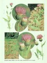 image test3