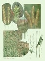image test1