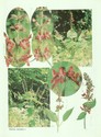 image test5