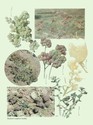 image test2