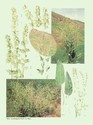 image test4