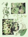 image test1