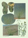 image test3