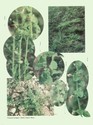 image test3