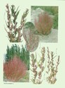 image test5