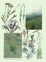 image test3