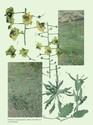 image test3