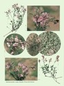 image test5