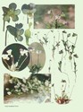 image test4