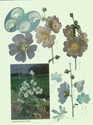 image test4