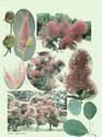 image test3