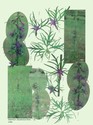 image test5