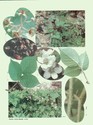 image test1