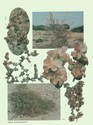 image test4