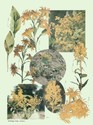 image test1