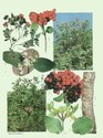 image test3
