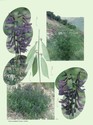 image test3