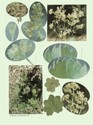 image test3
