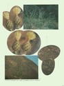 image test3