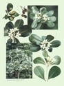image test4