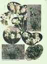 image test1