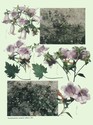 image test2