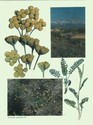 image test5