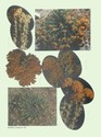 image test4