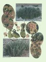 image test5