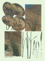 image test5