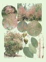image test2