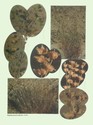 image test5