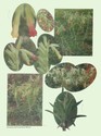 image test5